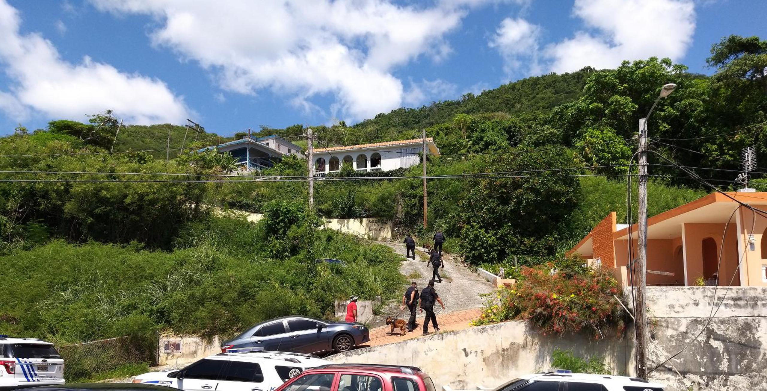 Un intenso operativo de búsqueda entre los municipios de Maunabo y Patillas se desarrollaba desde ayer.