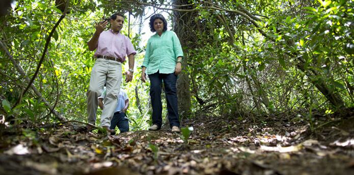 Duplican la cantidad de terrenos protegidos en la Isla - Primera Hora