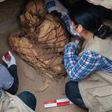 Descubren momia cubriéndose la cara con las manos en Perú
