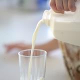 Comisión cameral de Agricultura investigará decomiso de 250,000 litros de leche fresca