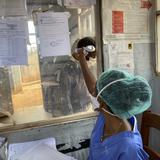 Congo confirma nuevo caso de ébola ligado a brote anterior