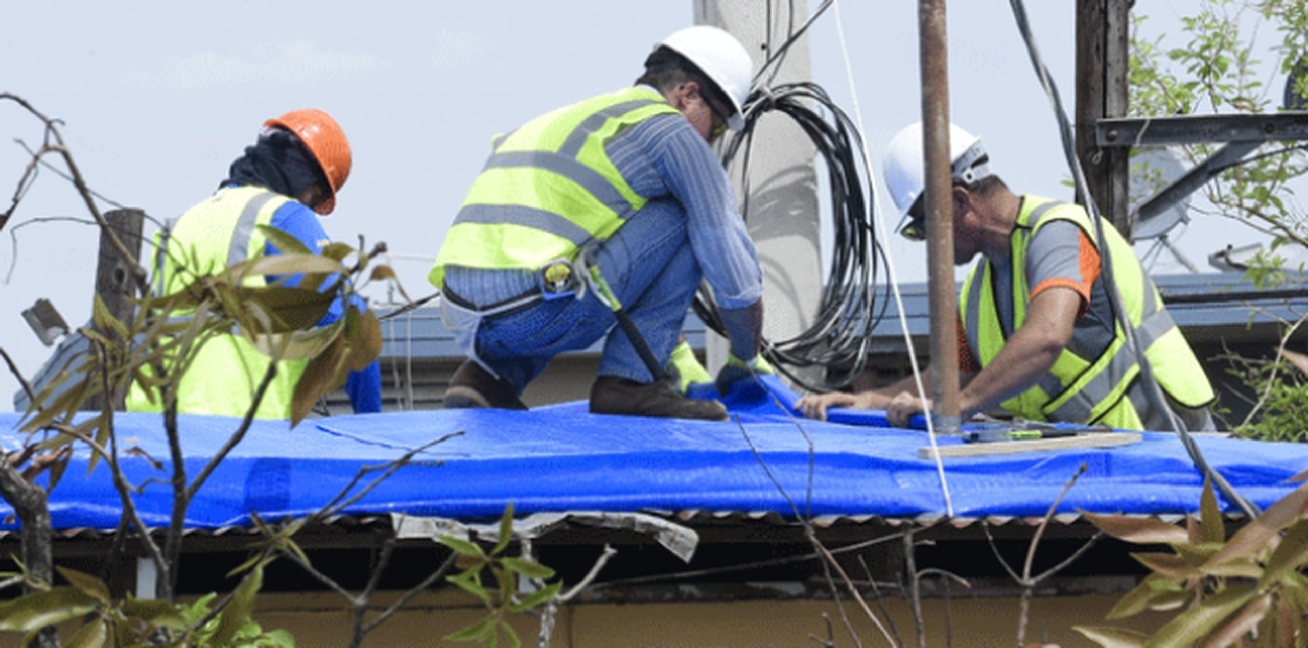Decenas de empleados de compañías privadas manipulan los extensos rollos de plástico azul brillante que servirán de techo para cientos de familias del país. (gerald.lopez@gfrmedia.com)