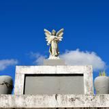 Investigan profanación de tumba en cementerio de Vega Baja