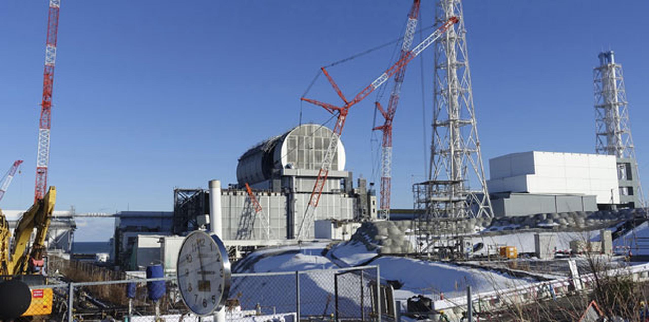Un enorme tsunami en marzo de 2011 desencadenó fusiones en tres de los reactores de Fukushima Dai-ichi, el peor desastre nuclear desde Chernóbil. (Archivo)