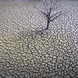 La histórica sequía del río Po amenaza a toda Italia