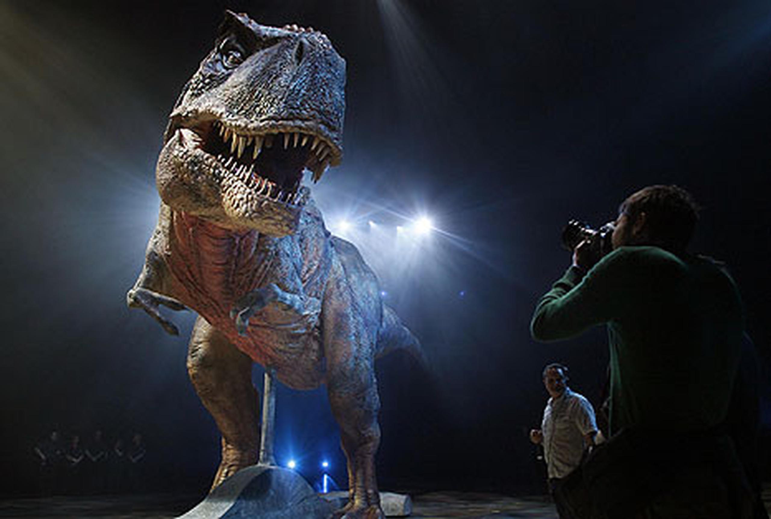 El Tiranosaurio Rex era un formidable depredador y no un carroñero -  Primera Hora