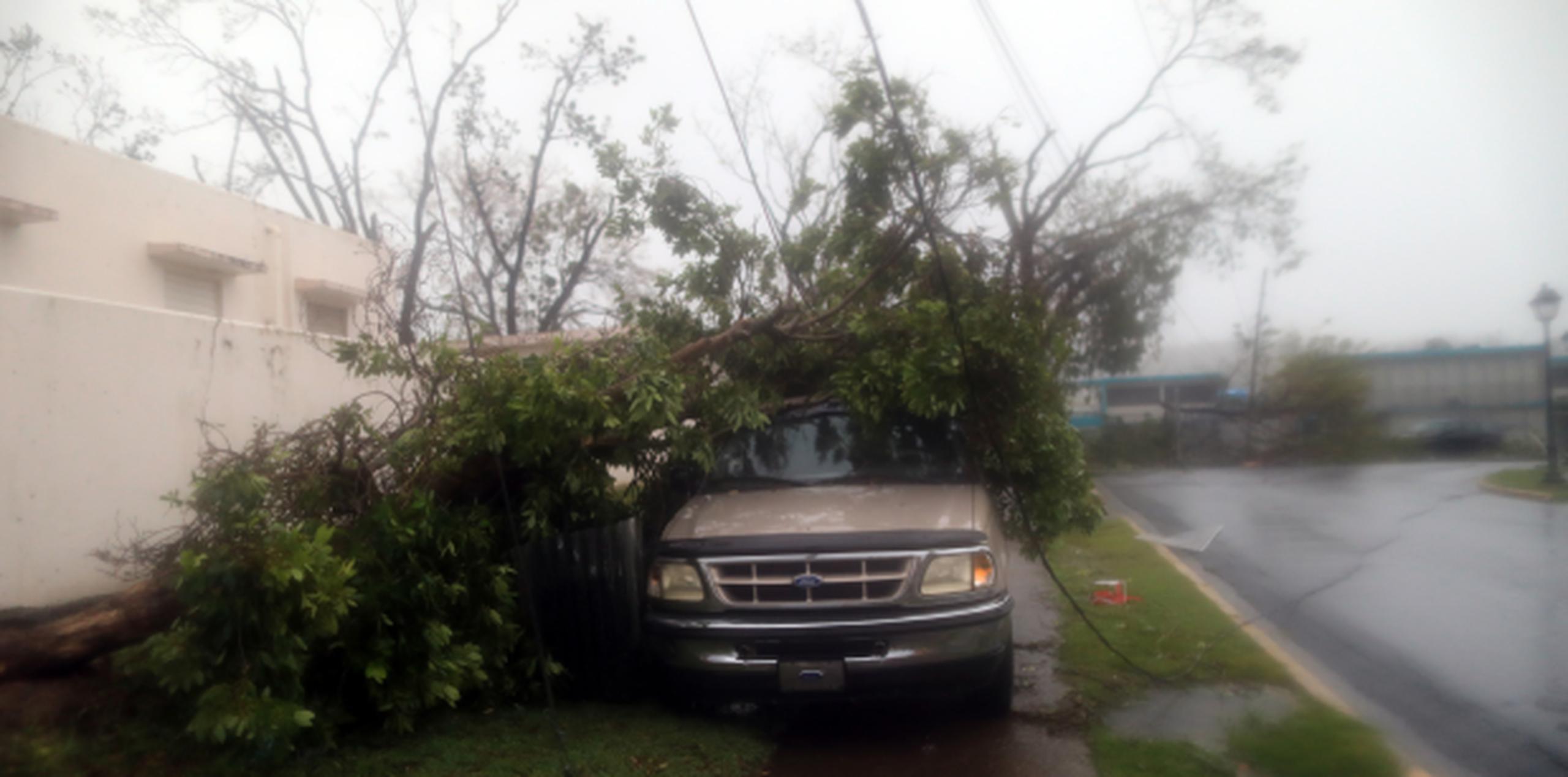 Un árbol cayó sobre un vehículo en la primera etapa del paso del huracán María. (xavier.araujo@gfrmedia.com)