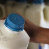 Buscan salvar la industria lechera con los presos