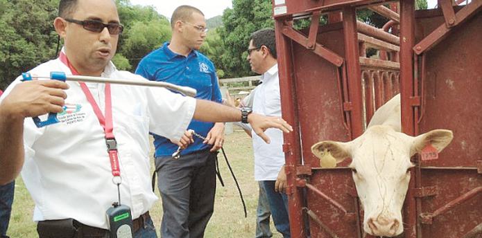 El director ejecutivo del Fondo para el Crecimiento de la Industria de la Carne de Res, Rafael Rosado, lamentó que la iniciativa no avanzara lo suficiente.  (ARCHIVO)
