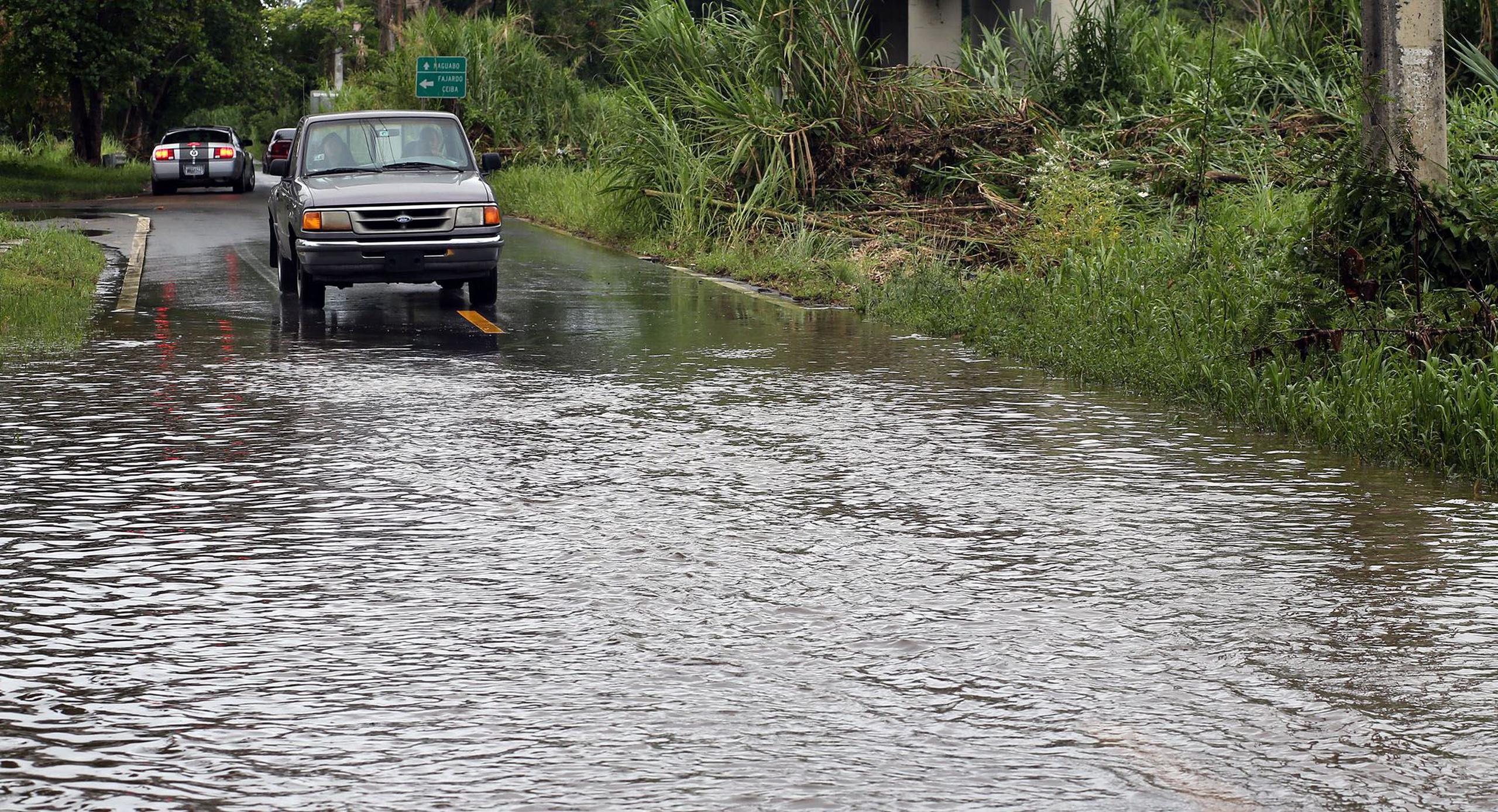 Imagen de la carretera PR-31, en Naguabo. (GFR Media)